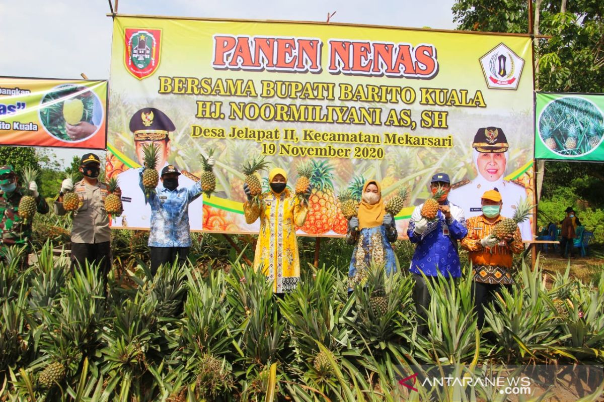 Bupati harapkan kawasan perkebunan dijadikan agrowisata