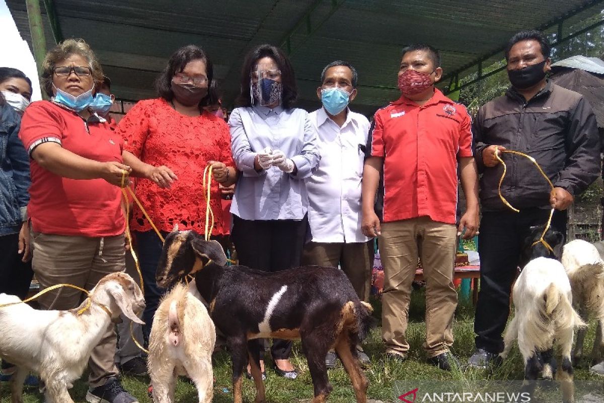 Kemarin, Satika serahkan bantuan 60 ekor kambing dan 600 ekor itik untuk poktan