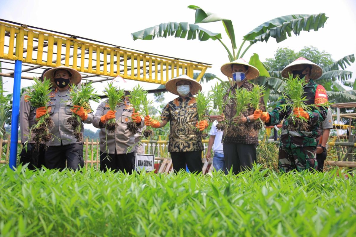 Ketahanan Pangan Berhasil Menunjang Ekonomi Warga di Masa Pandemi