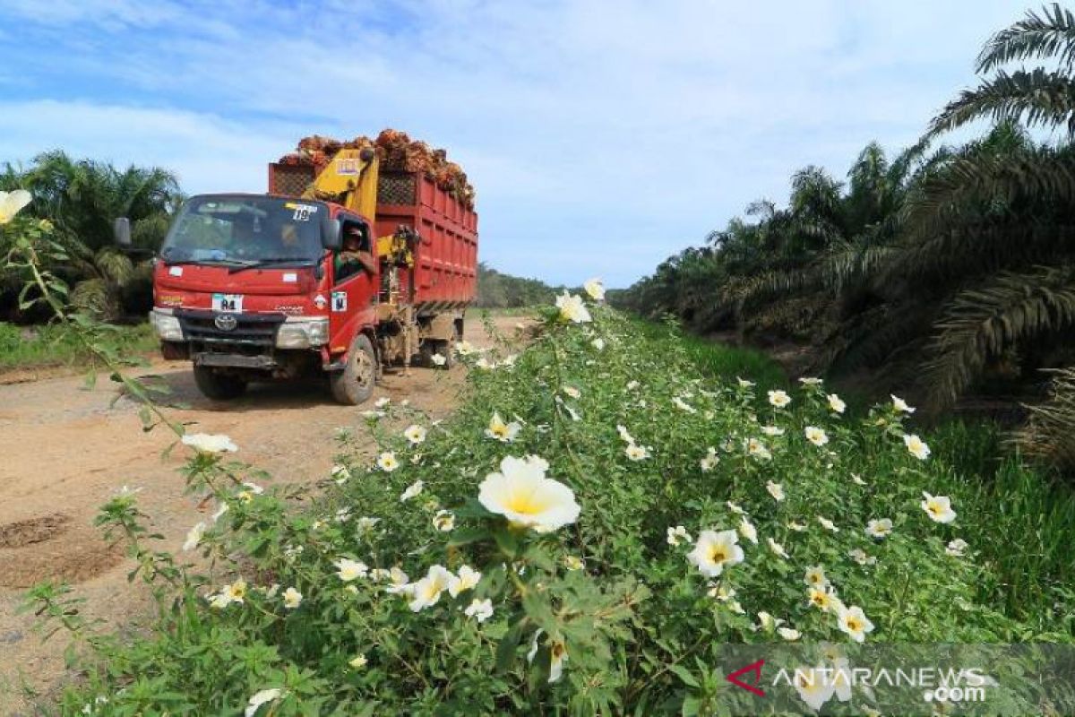 Astra Agro Raih Environment, Social, Governance Award 2020