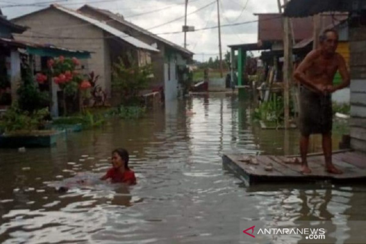 Puluhan rumah warga Kampung Pelangi terendam banjir rob