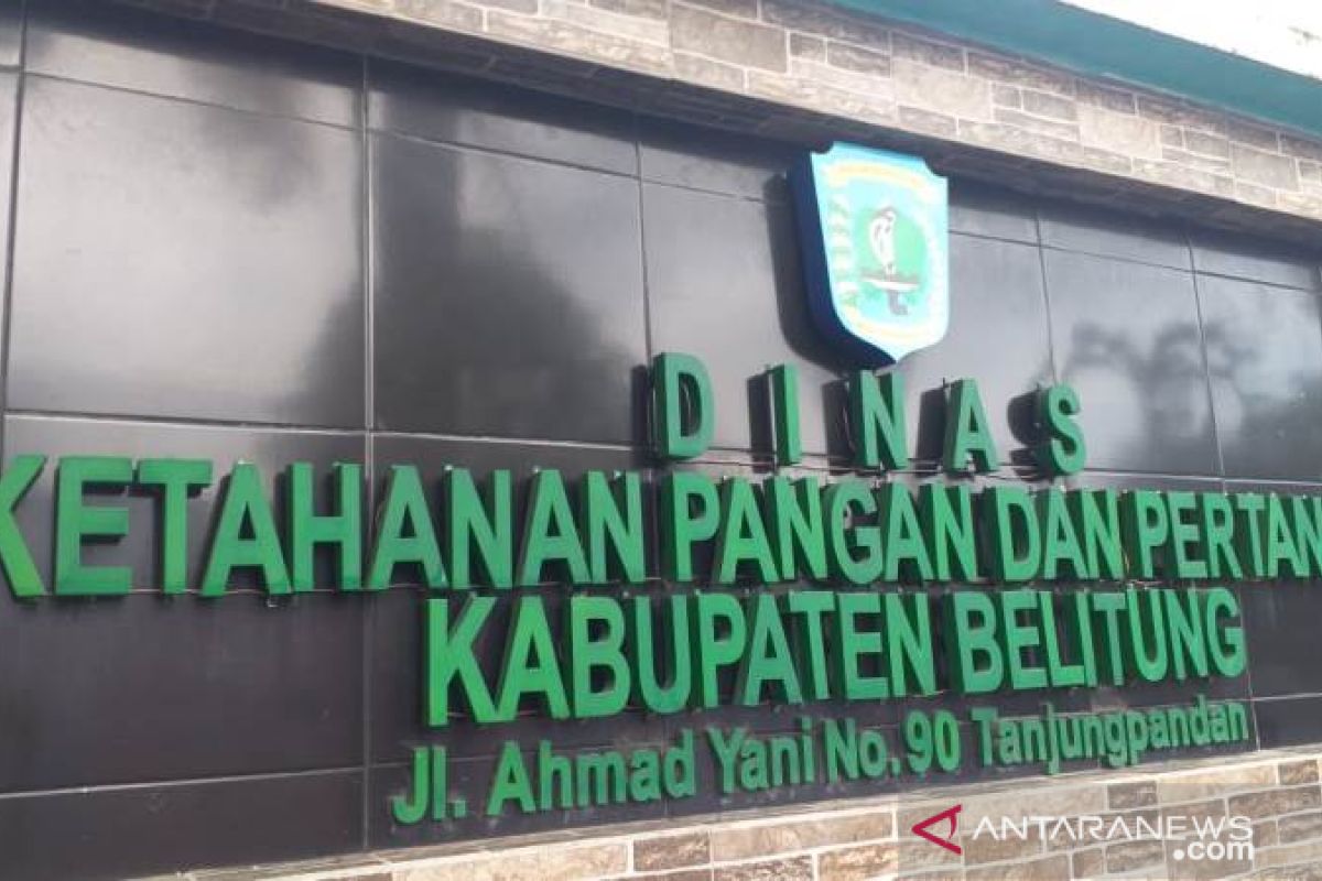 DKPP Belitung terapkan bekerja dari rumah setelah satu pegawainya positif COVID-19