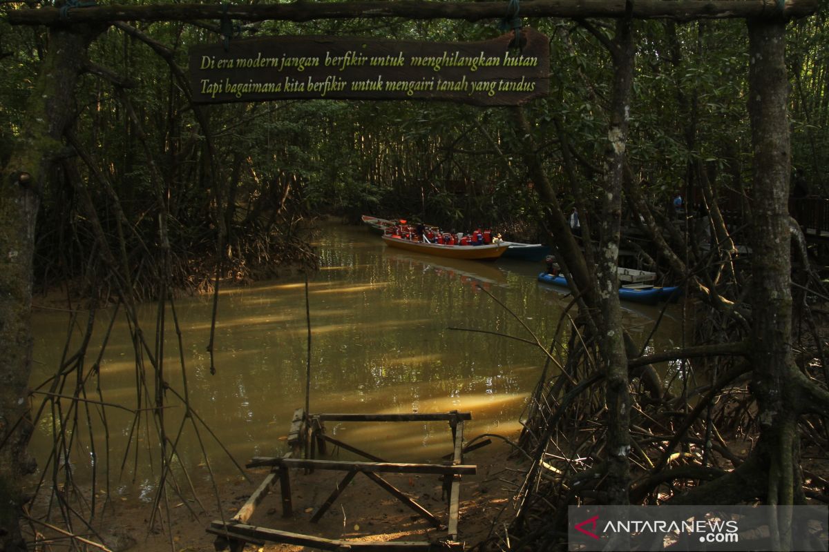 Cerita Karst China dan Mangrove Balikpapan