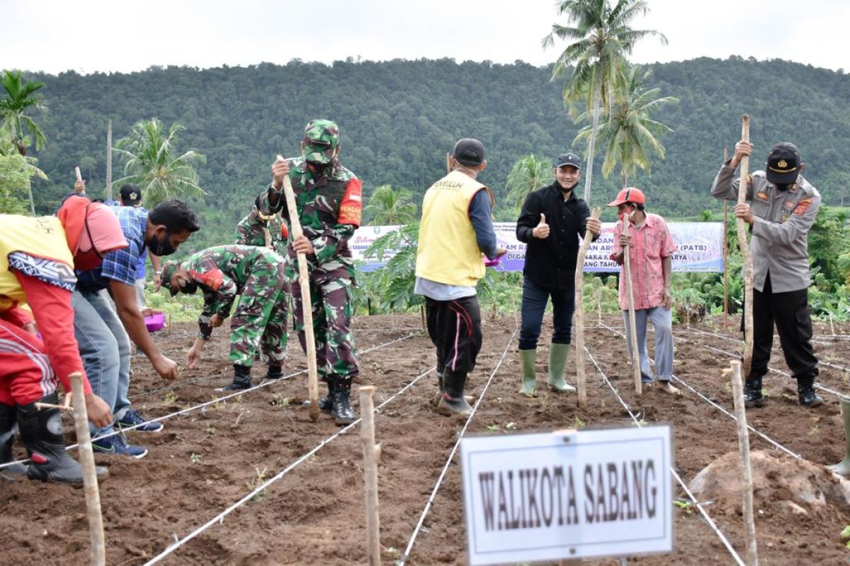 Sabang tanam perdana komoditas padi Gogo