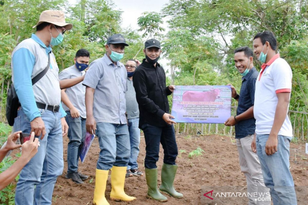 Kementan RI bantu 40 ekor sapi bagi warga di Sabang