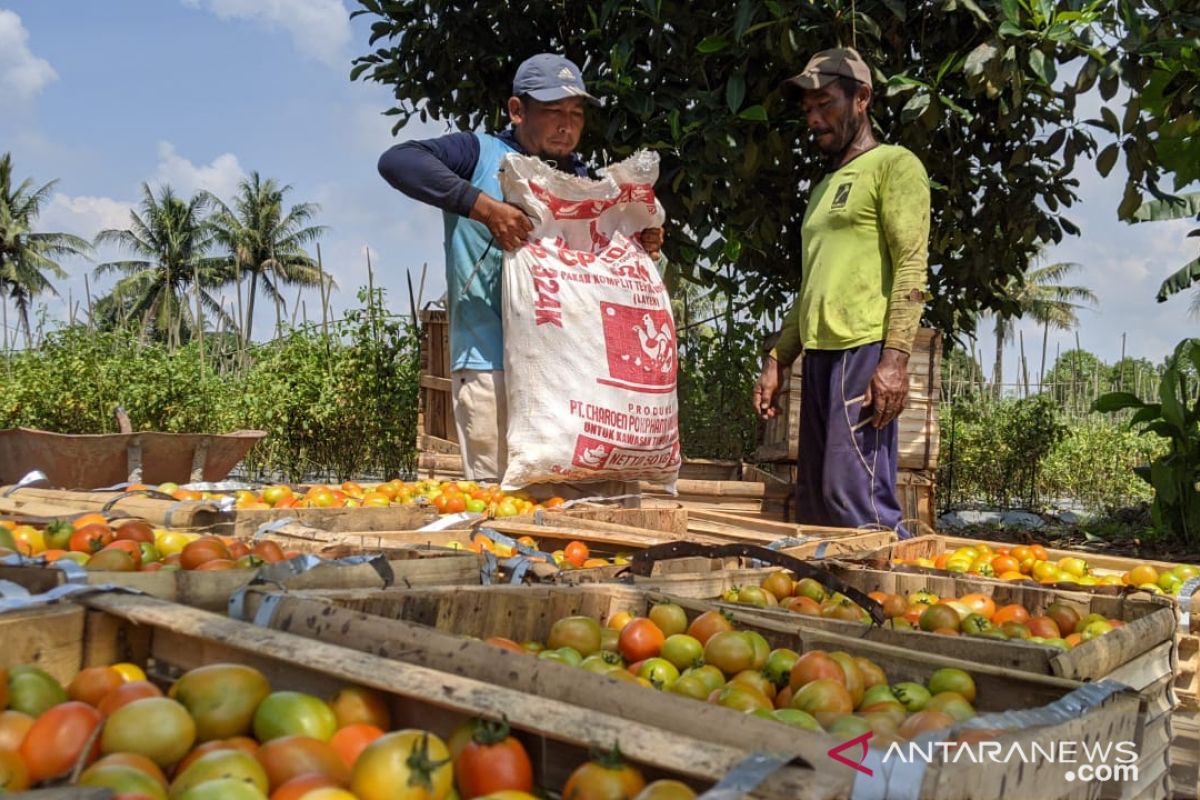 Kawasan Agrowisata Kukar dibentuk BUMDes Bersama