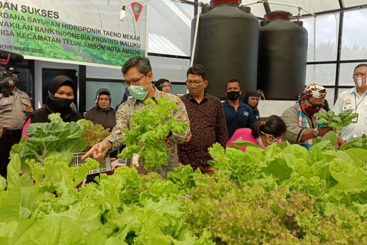 BI Maluku dukung produktivitas hasil pertanian petani di Ambon