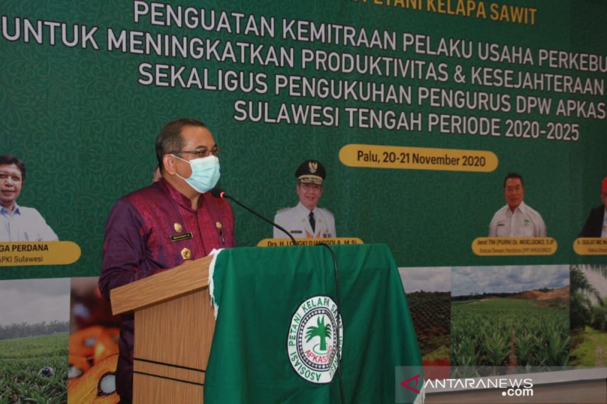 Pemprov Sulteng  harap Apkasindo bantu pemerintah bina petani sawit