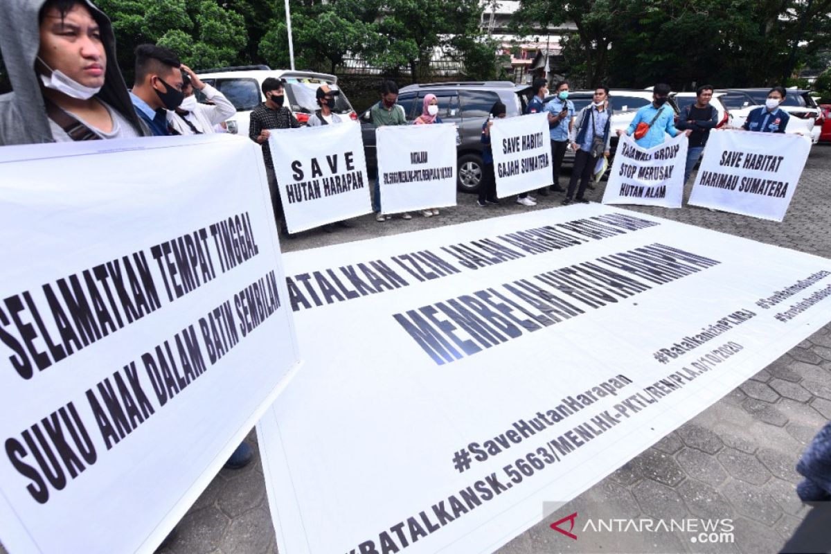 Penyelamat hutan Sumsel-Jambi minta hentikan bangun  jalan batu bara