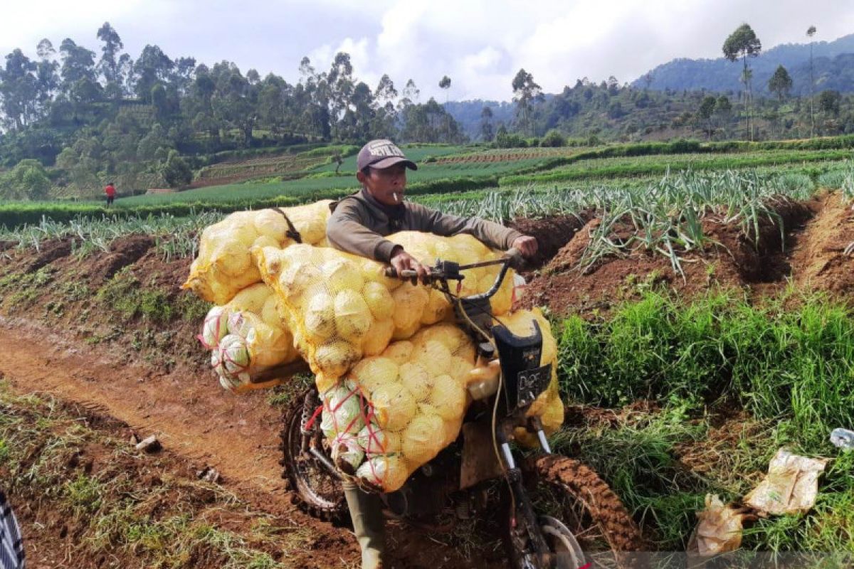 Geliat pembangunan infrastruktur di tengah pandemi