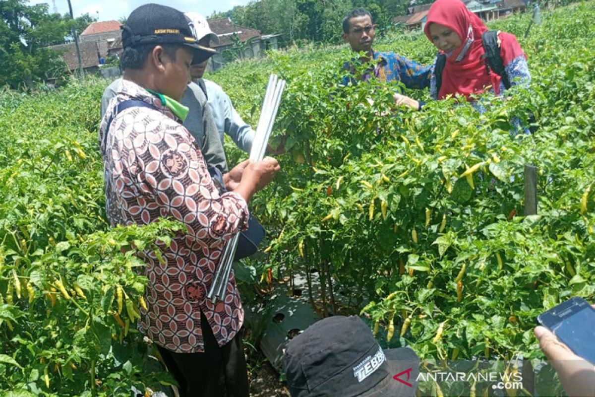 Kementan siapkan pelatihan teknik pengubinan bagi penyuluh swadaya