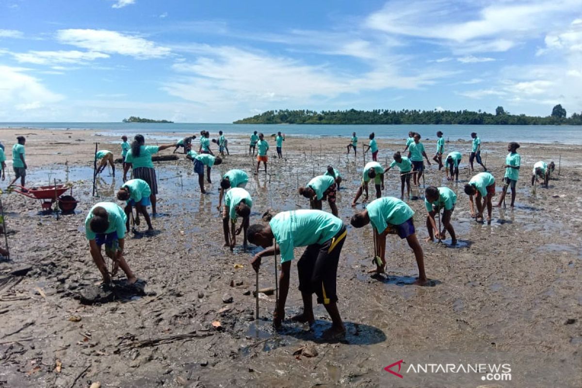 Pertamina RU VII dan mitra tanam 5.000 pohon bakau