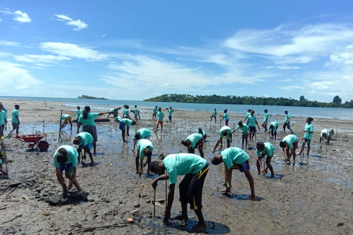 Pertamina RU VII bersama mitra tanam 5.000 pohon bakau