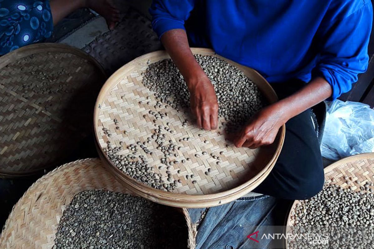 Pengelola kopi Bali optimis tingkatkan pemasaran