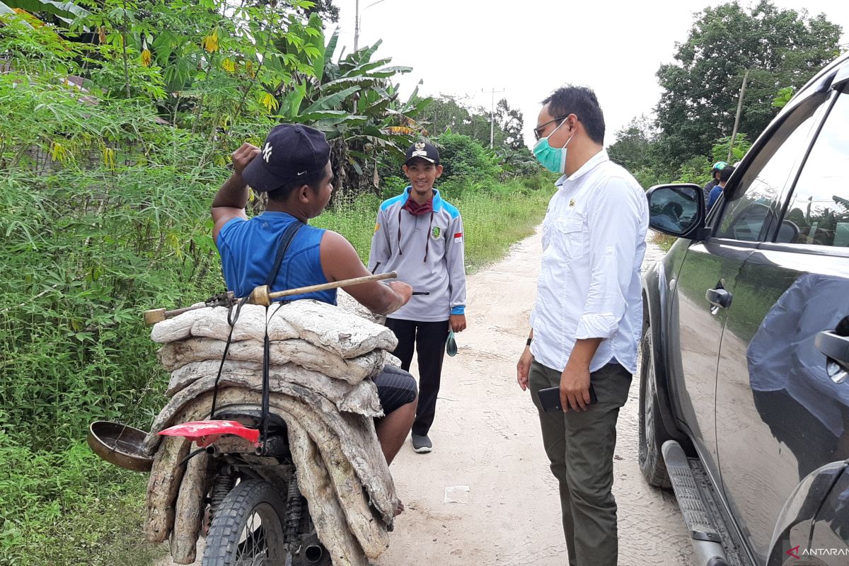 Harga karet tingkat petani di Sambas capai Rp11.000 per kilogram