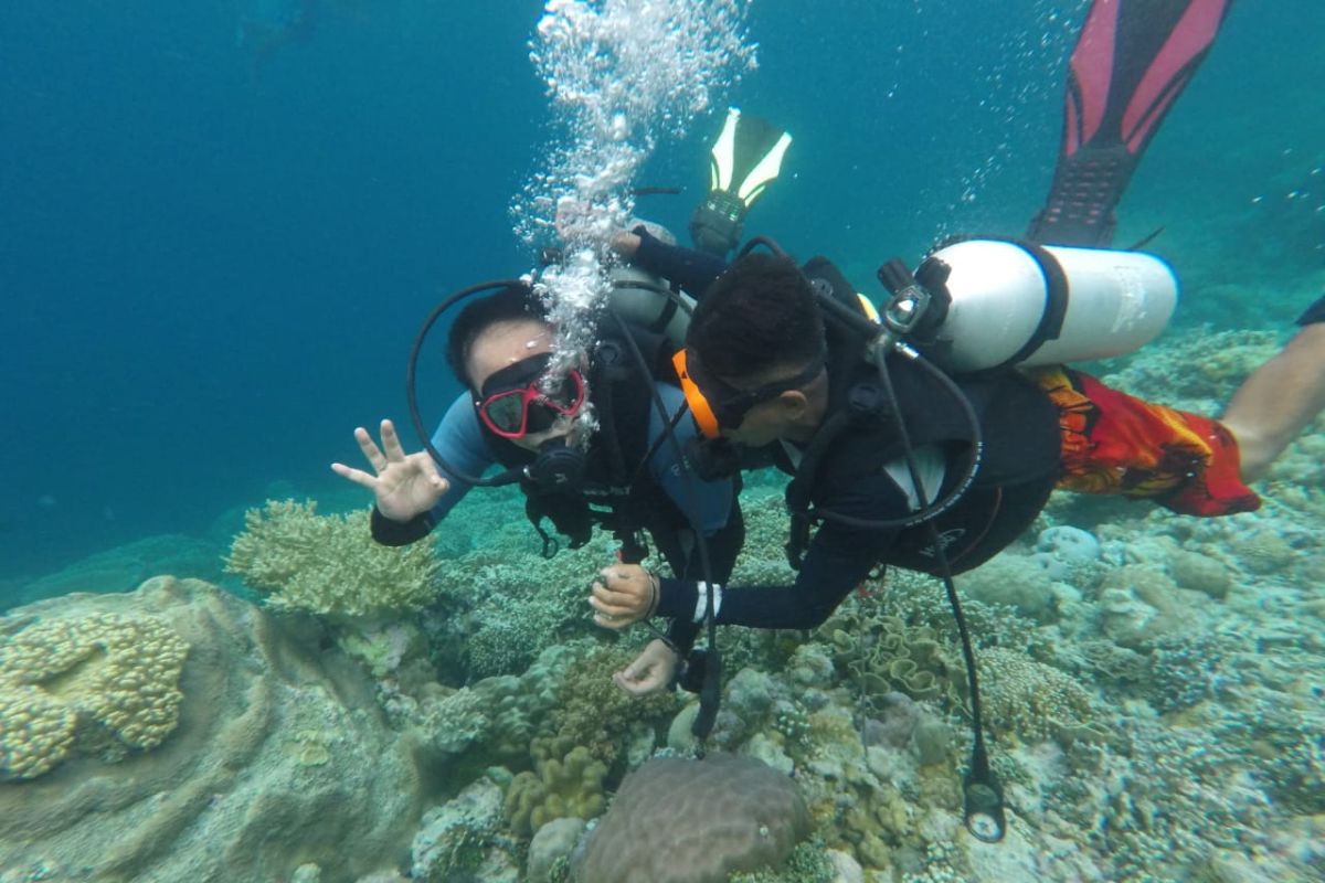 Wamendes PDTT optimistis kawasan Wakatobi bisa jadi destinasi wisata unggulan