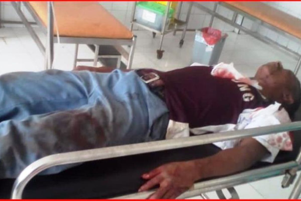 PAK HAM Papua kutuk kasus penembakan pelajar di Ilaga Puncak