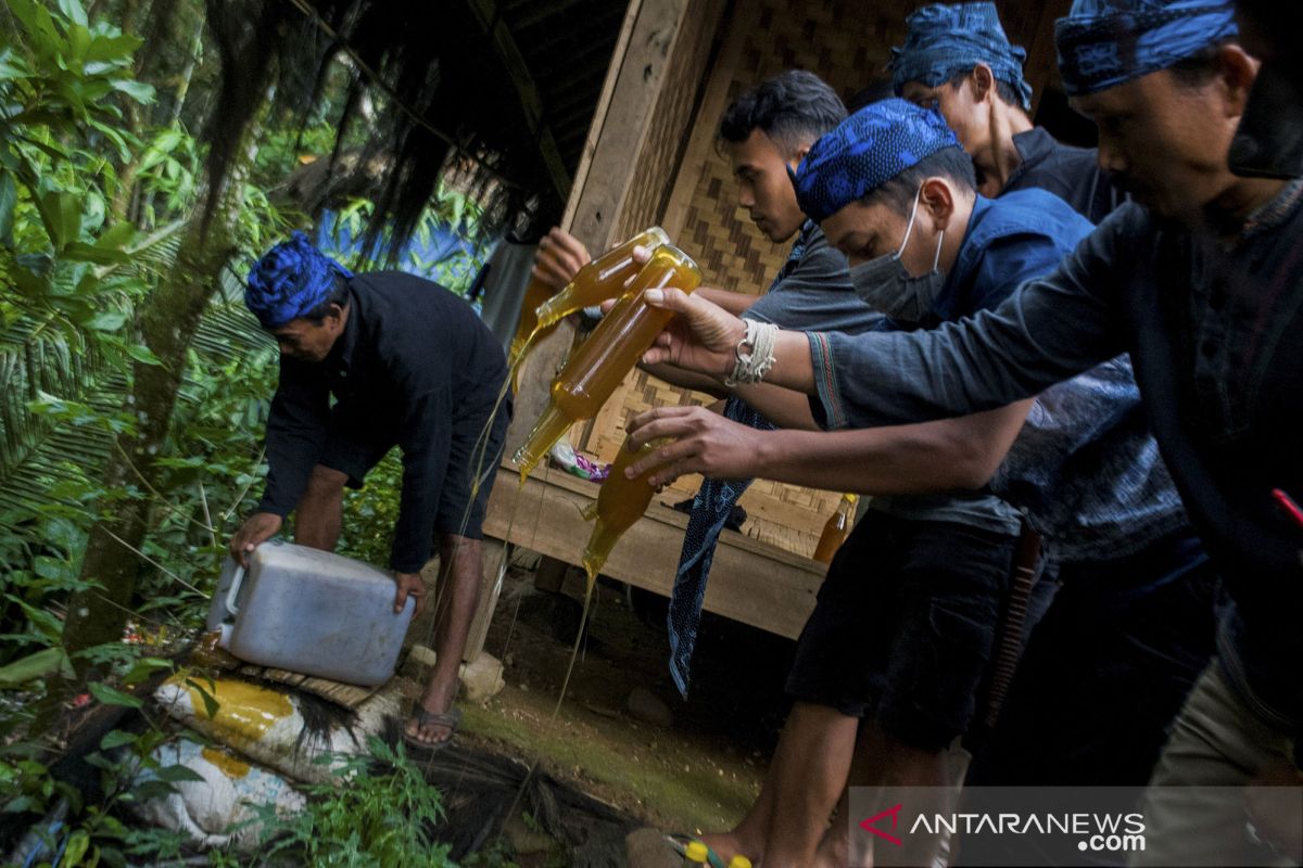 Warga Baduy Di Lebak Belum Ditemukan Positif Covid 19 Antara News