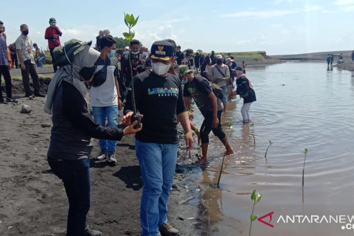 Peringati Hari Pohon Sedunia untuk kenang pejuang lingkungan Salim Kancil