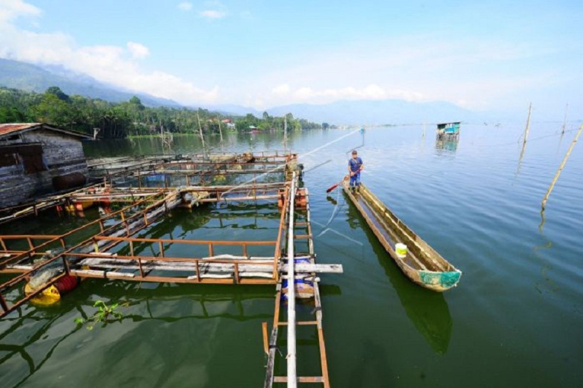 Temuan spesies ikan di Danau Kerinci menurun