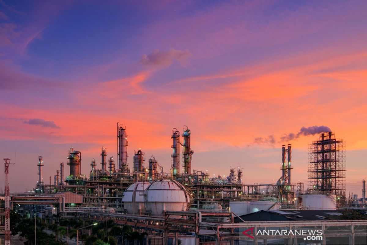 Ekonom nilai industri petrokimia masih menguntungkan dan potensial