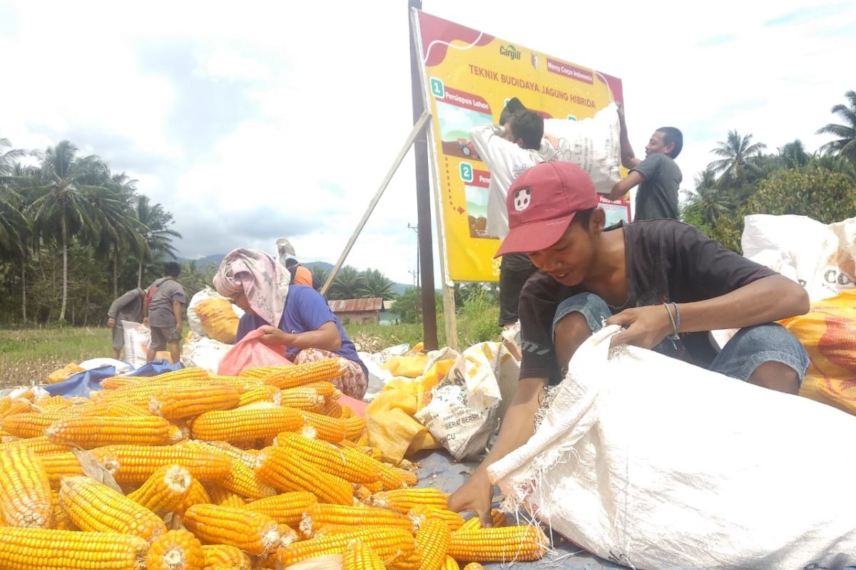 Tingkatkan kesejahteraan melalui pengembangan produk lokal