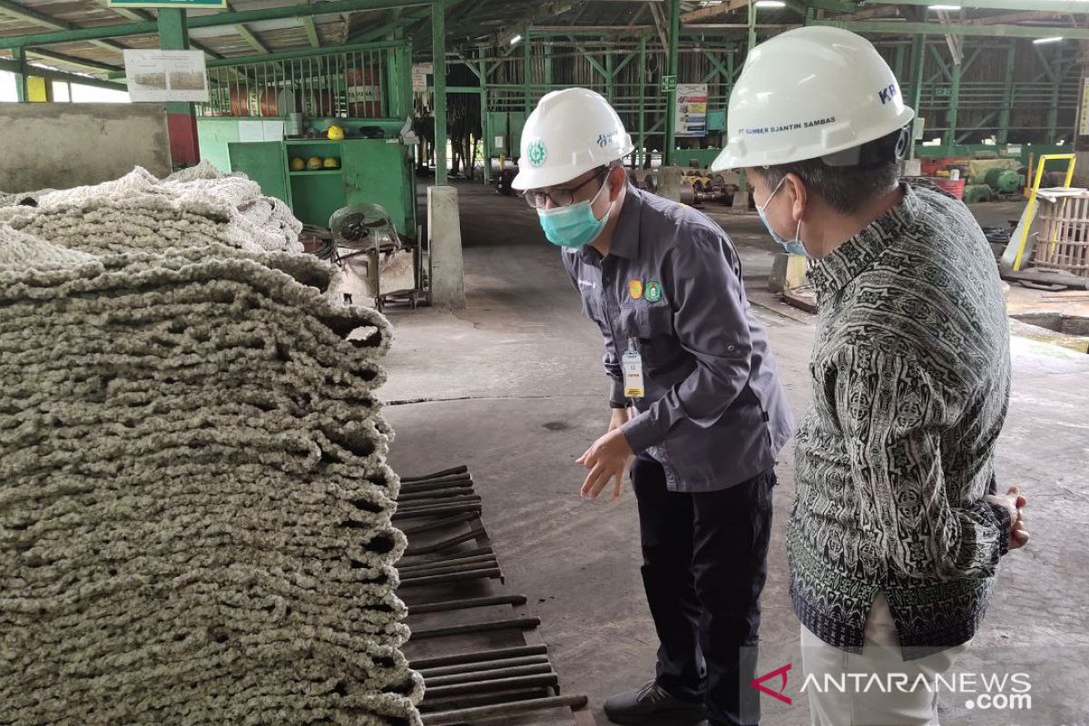 Harga karet tingkat pabrik di Kalbar capai Rp18.700/kg