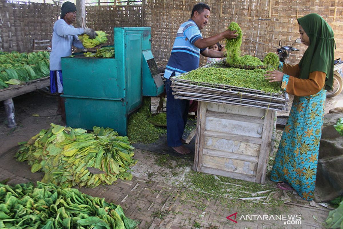 AMTI terus desak pemerintah tak naikkan tarif cukai tahun depan