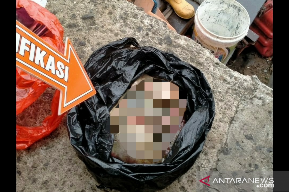 Petugas UPK Badan Air temukan mayat bayi di Kali Cengkareng