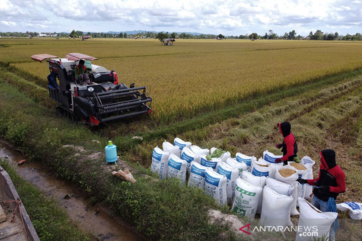 Kementan optimistis Indonesia surplus beras hingga Desember 2020