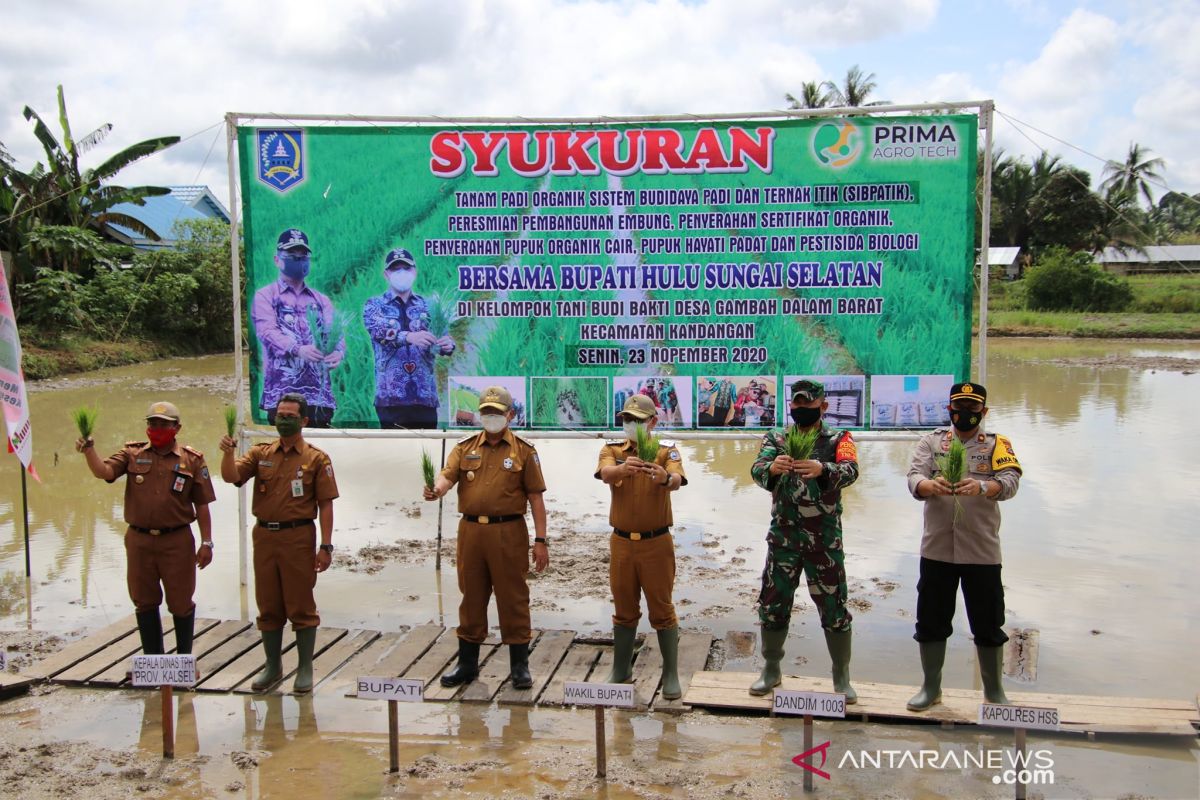 Poktan Budi Bakti Gambah Dalam Darat syukuran tanam padi organik