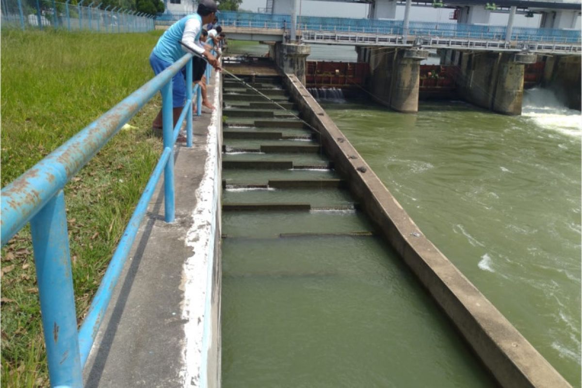 KKP dorong pembangunan jalur migrasi ikan dalam pembuatan bendungan