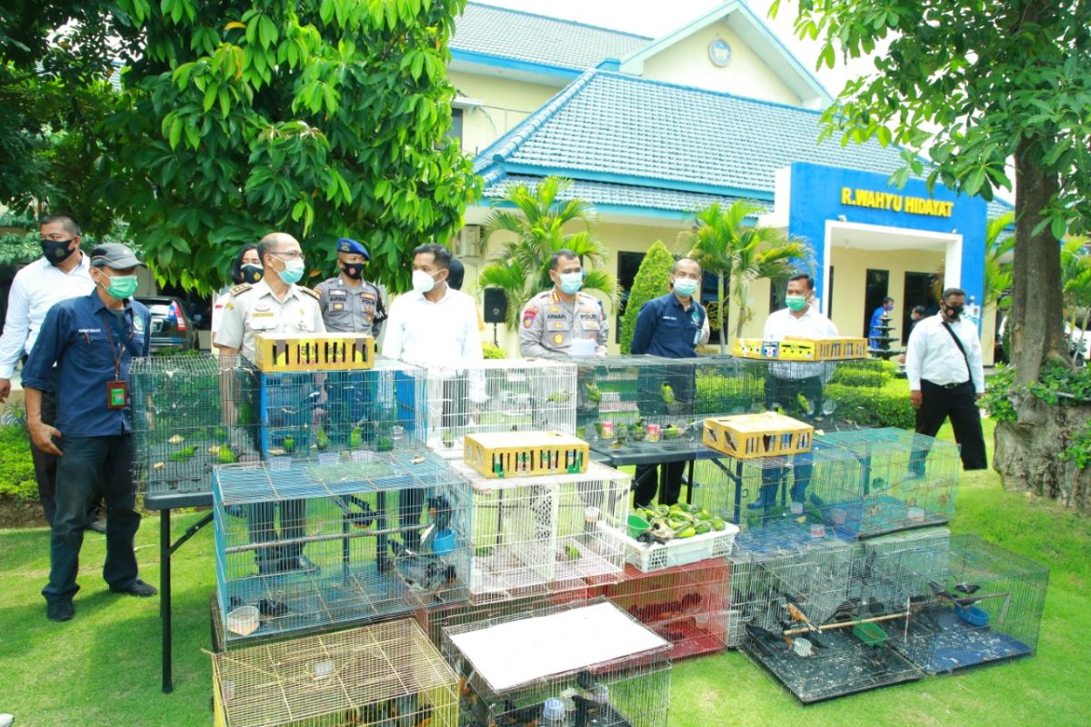 Polda Jatim gagalkan penyelundupan ratusan satwa dilindungi dari Banjarmasin