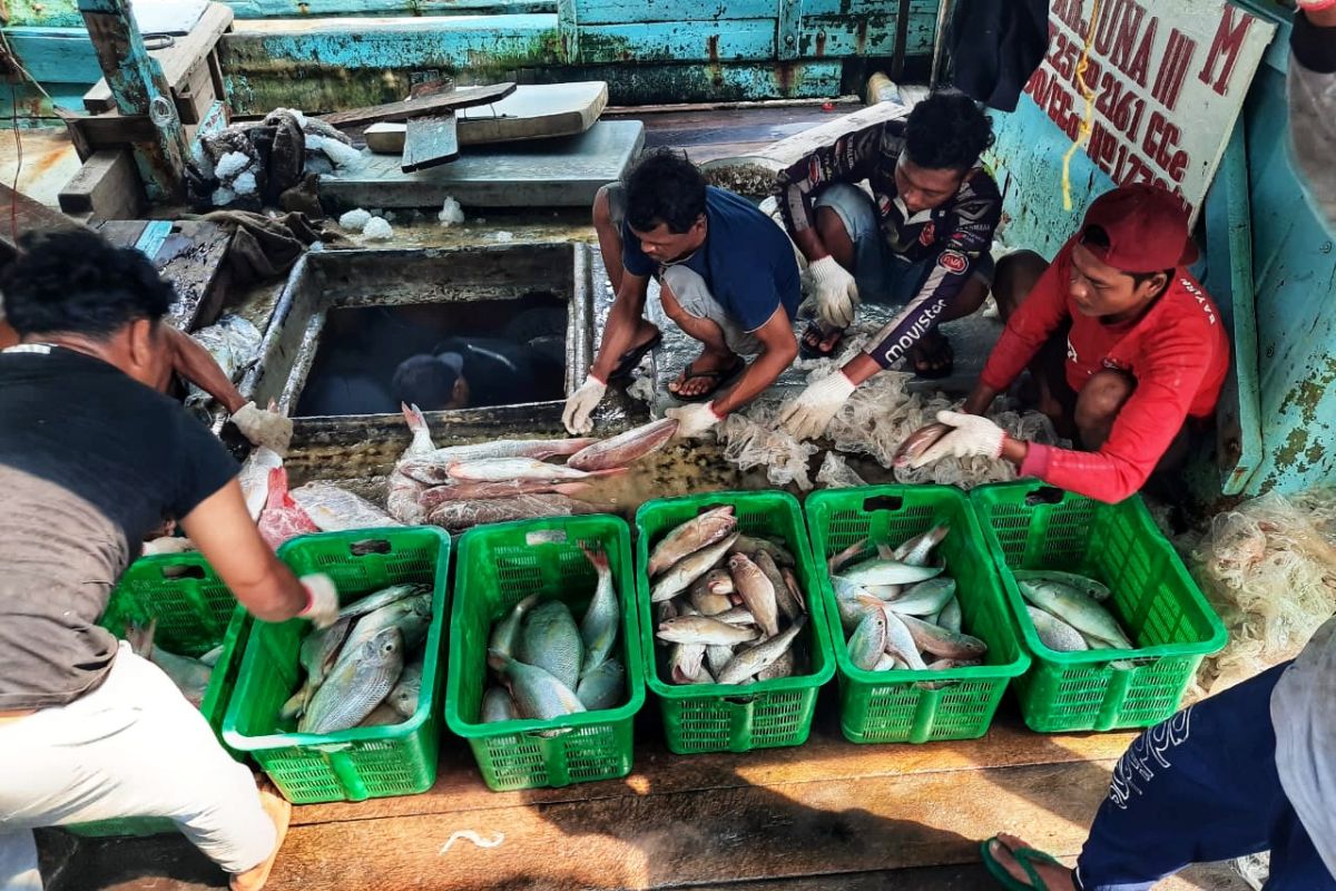 Nelayan Natuna waspada gelombang capai lima meter