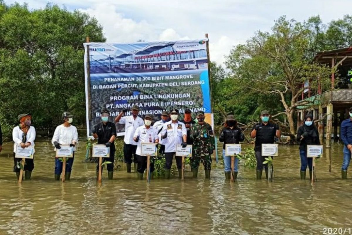 Puluhan ribu mangrove ditanam PT Angkasa Pura II di Deli Serdang