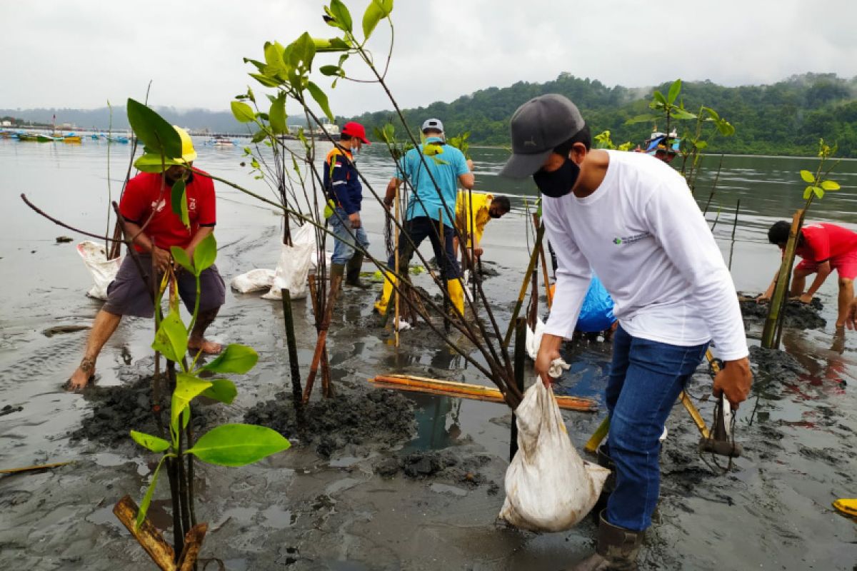 Warga Cilacap tanam mangrove dengan teknik klaster di perairan Nusakambangan