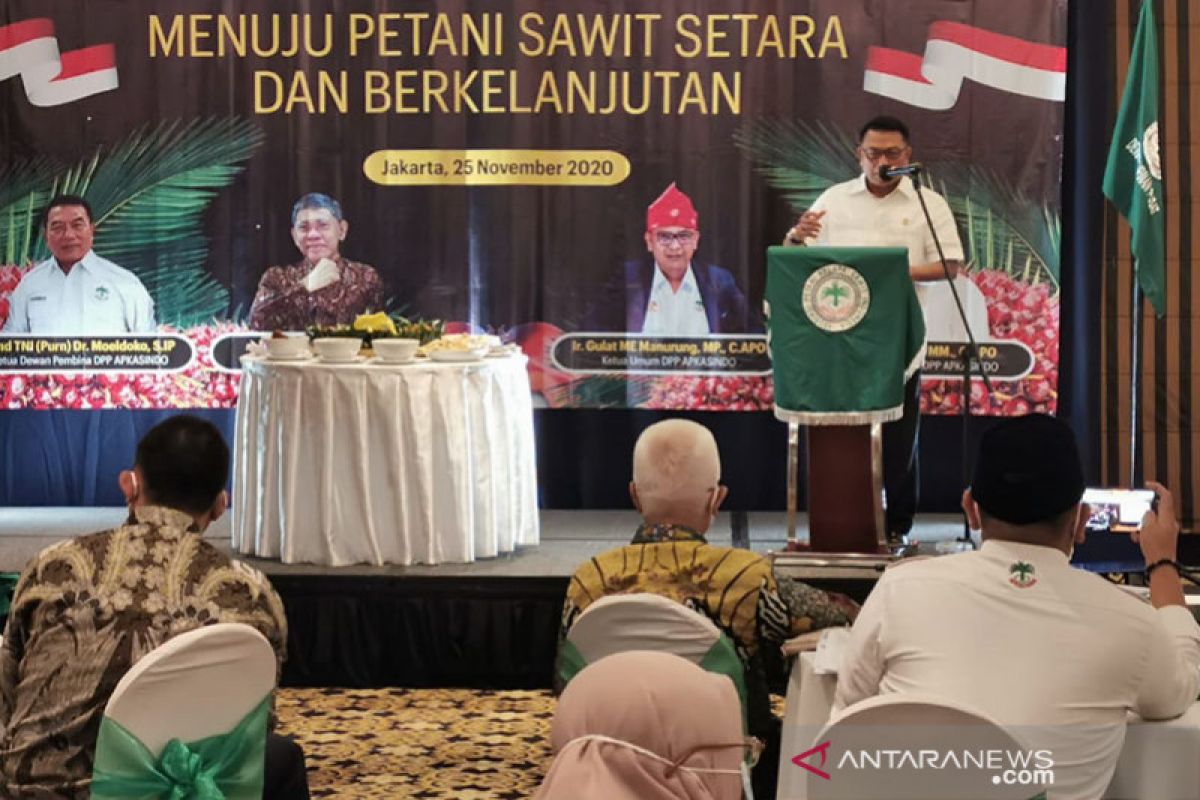 Mentan nilai Apkasindo akselerasi sektor perkebunan