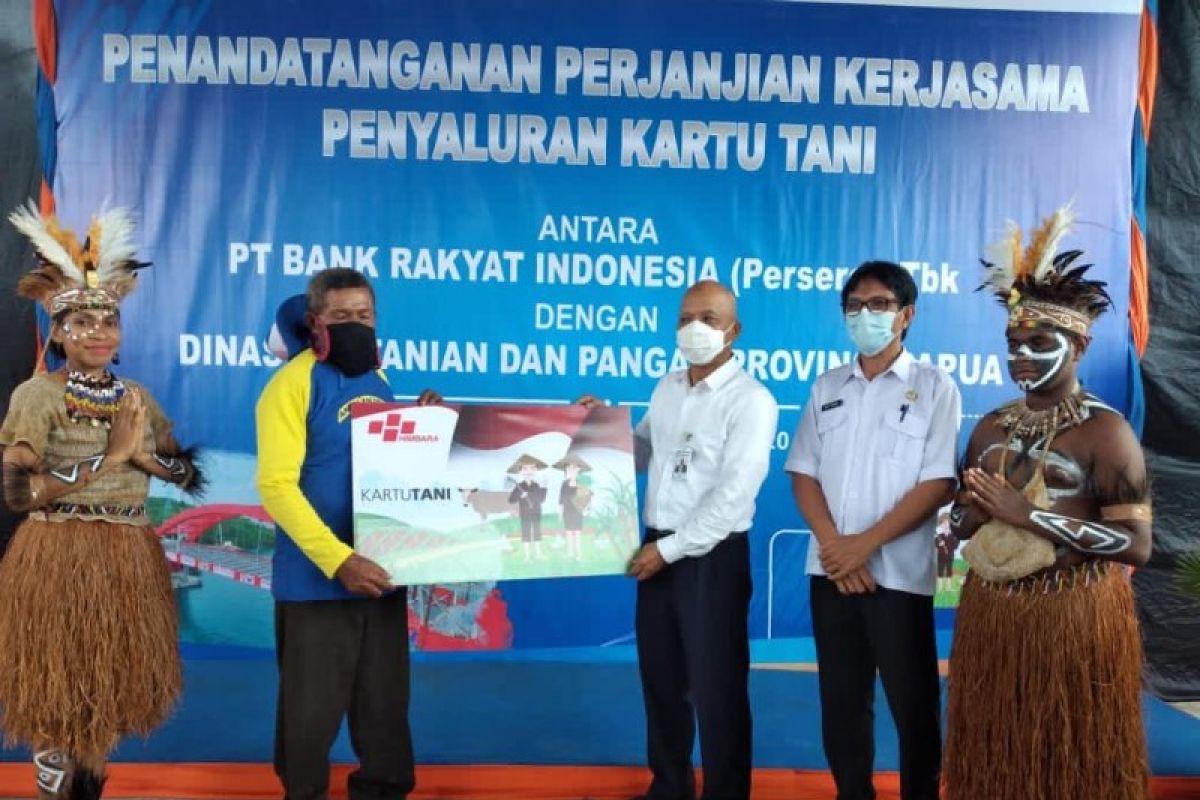 BRI siapkan 17.000 kartu tani di Papua