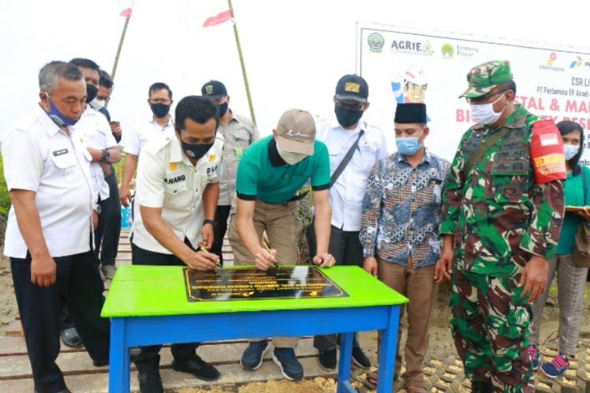 Pertamina EP bangun jembatan untuk konservasi mangrove Bangkalan