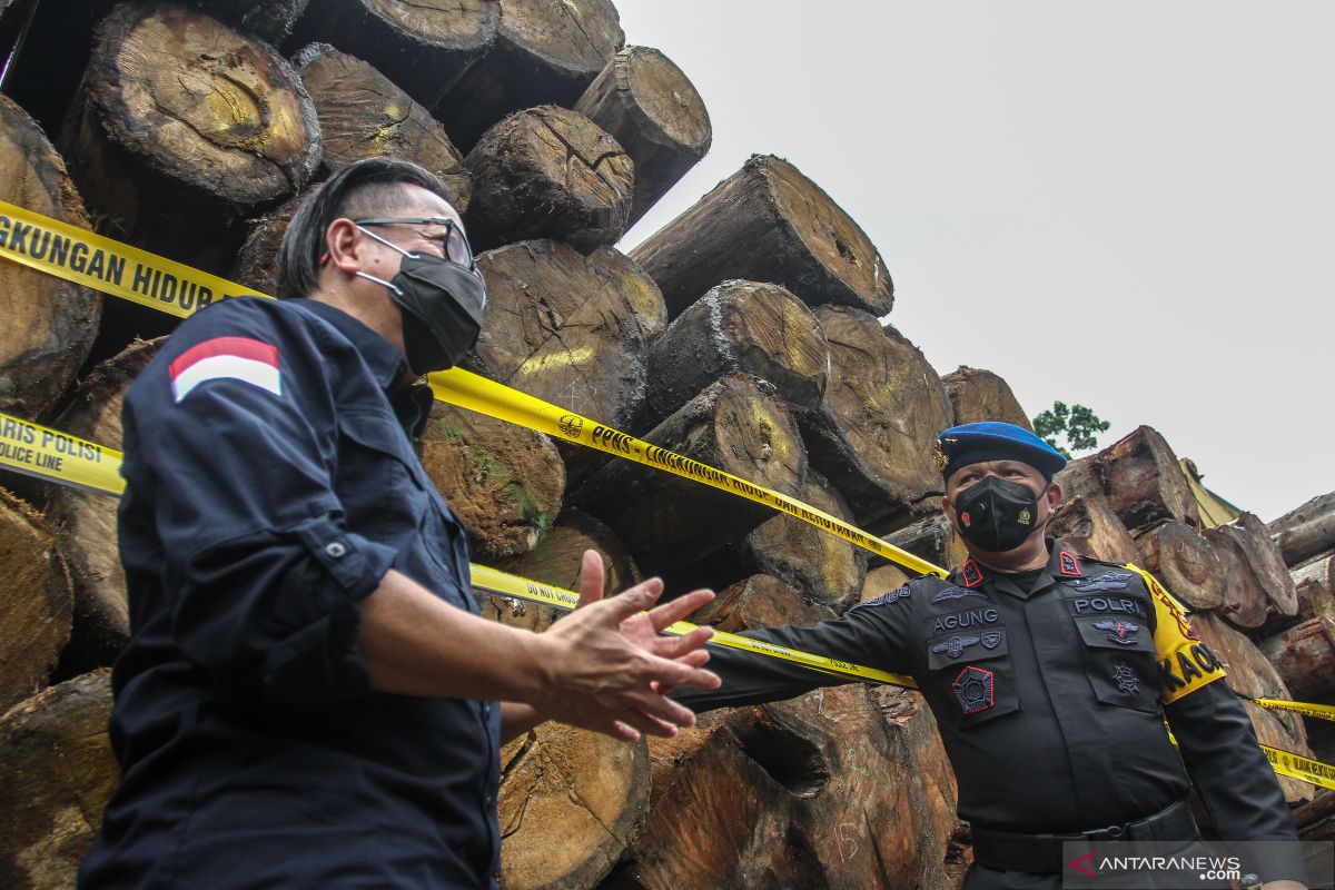 KLKH dan Polda Riau sita 49 ribu kubik kayu dari Rimbang Baling tanpa tersangka