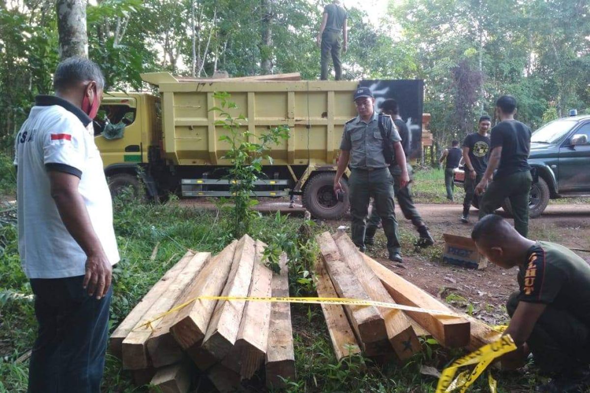Dishut Pemprov Kalsel terus berupaya jaga hutan dari penebangan liar