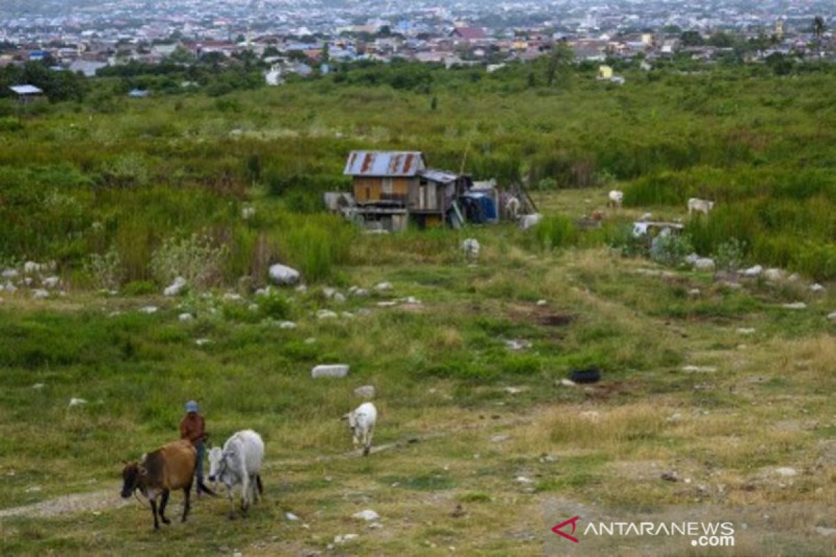 Dirikan rumah di bekas likuefaksi Balaroa