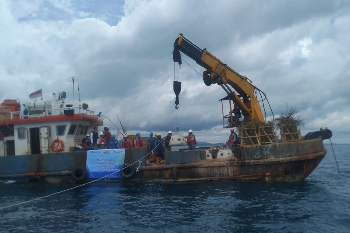 PT Timah tenggelamkan 2.000 rumah ikan di laut Bangka