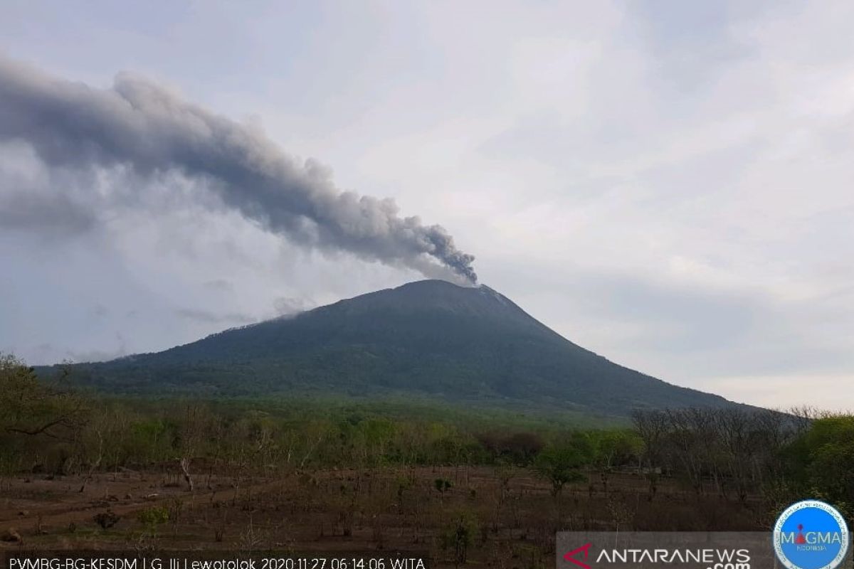 Gunung Ili Lewotolok erupsi