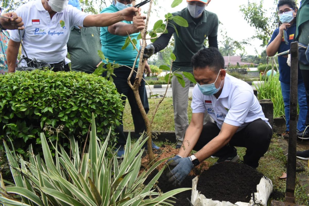 Pemkot Pontianak percantik trotoar dengan pohon berbunga