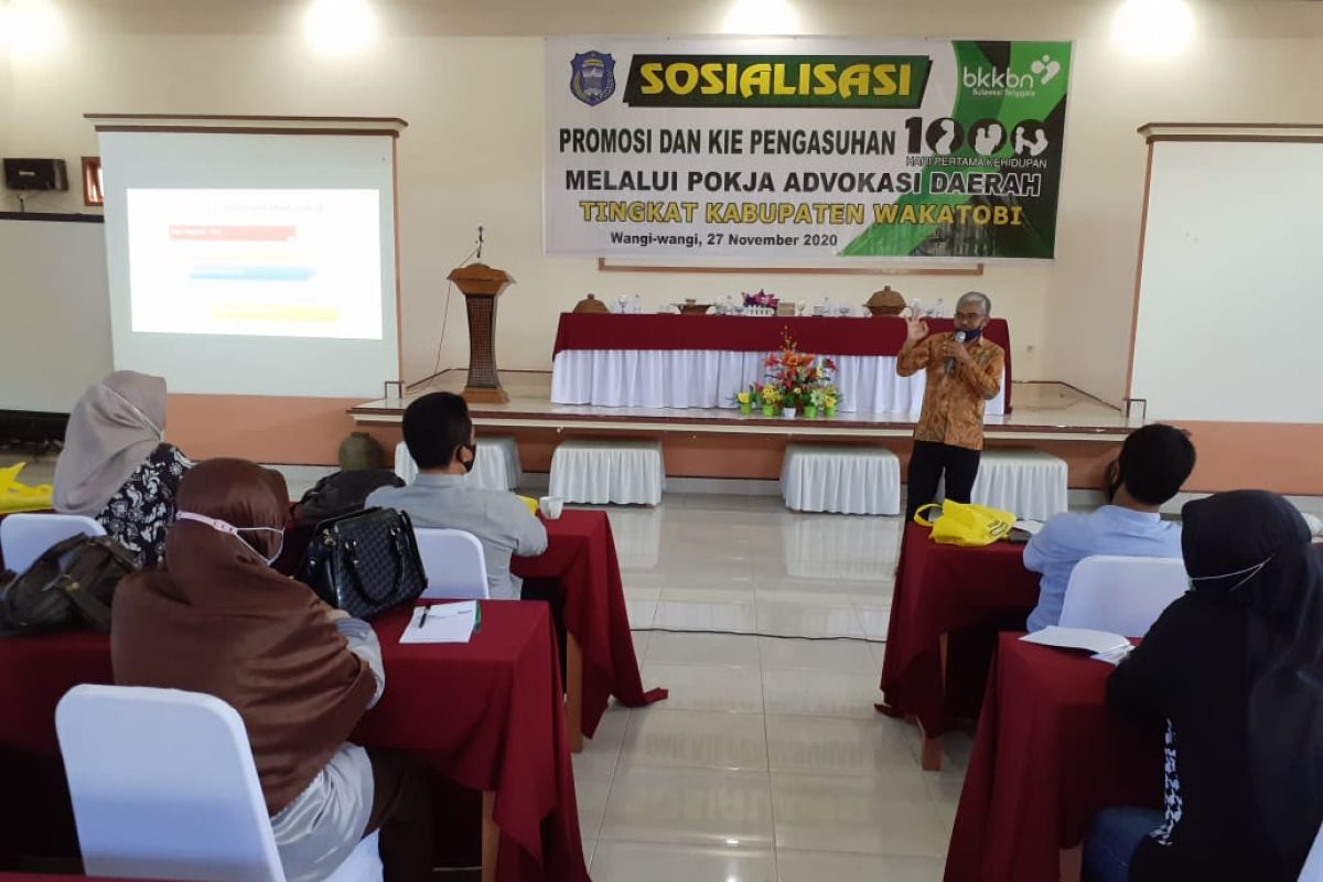 BKKBN Sultra Sosialisasi 1000 HPK Melalui Pokja Advokasi di Wakatobi