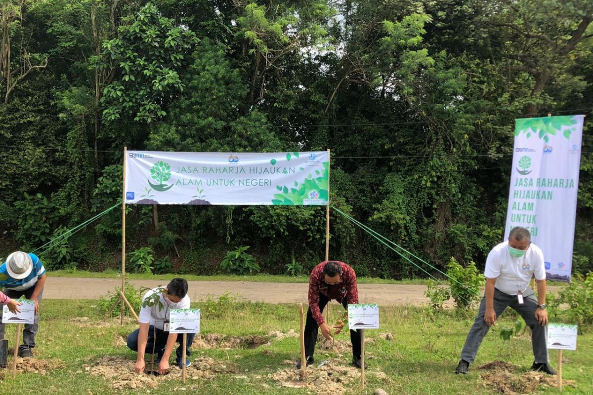 Semarakkan HUT Ke-60, Jasa Raharja Banten Tanam 300 bibit pohon