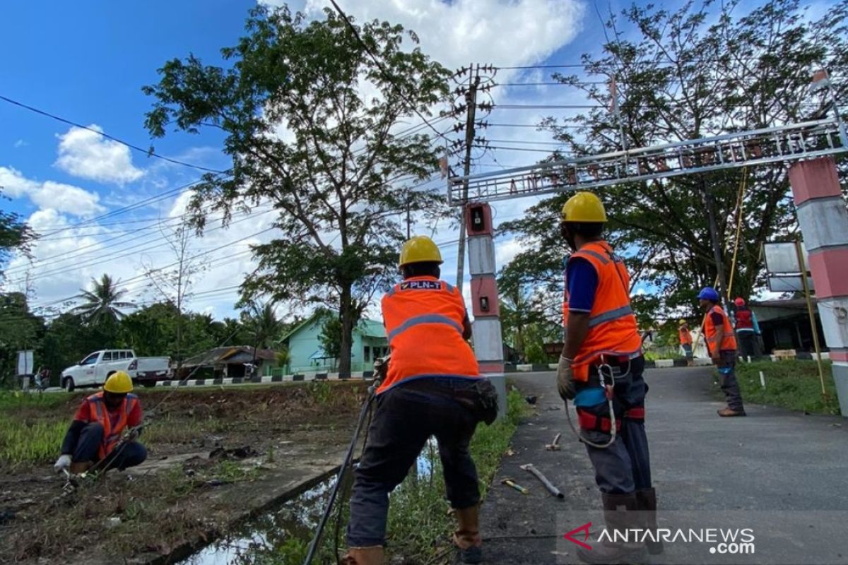 PLN Kalbar ciptakan aplikasi peta pohon tingkatkan kehandalan pasokan listrik