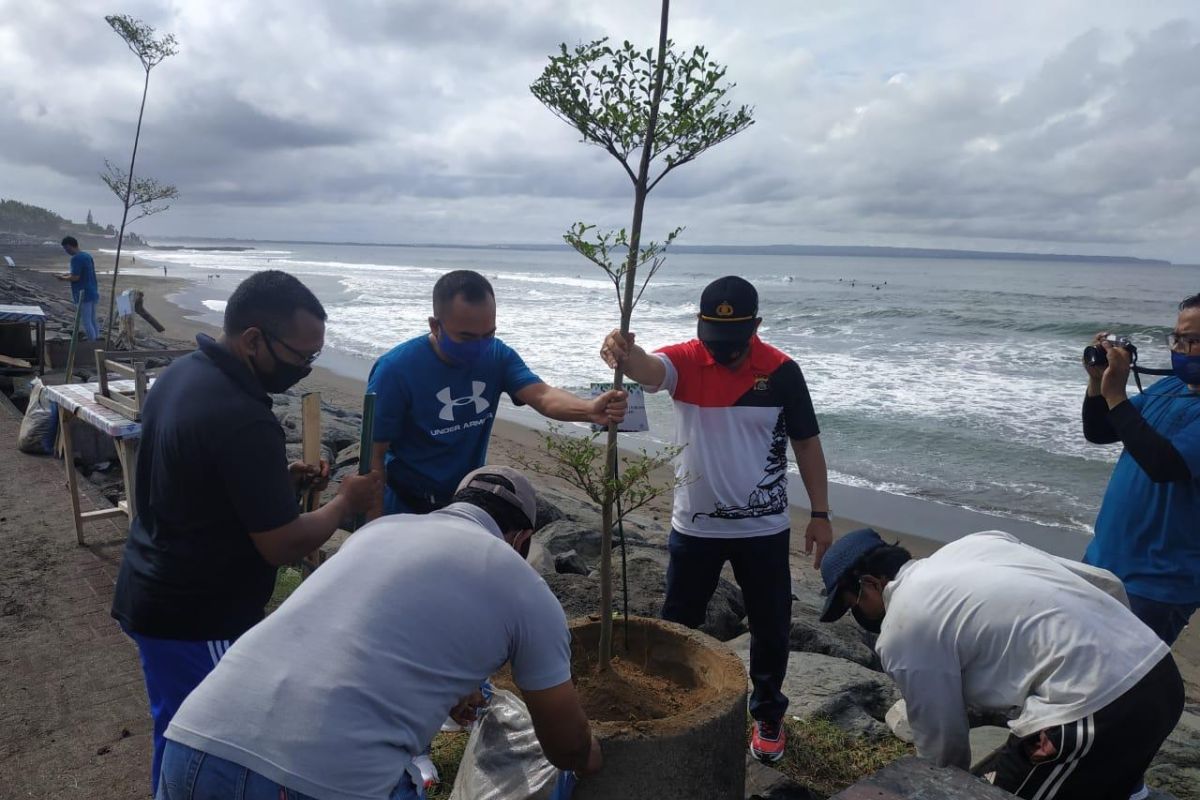 Jasa Raharja Bali tanam pohon di Pantai Pererenan peringati HUT ke-60