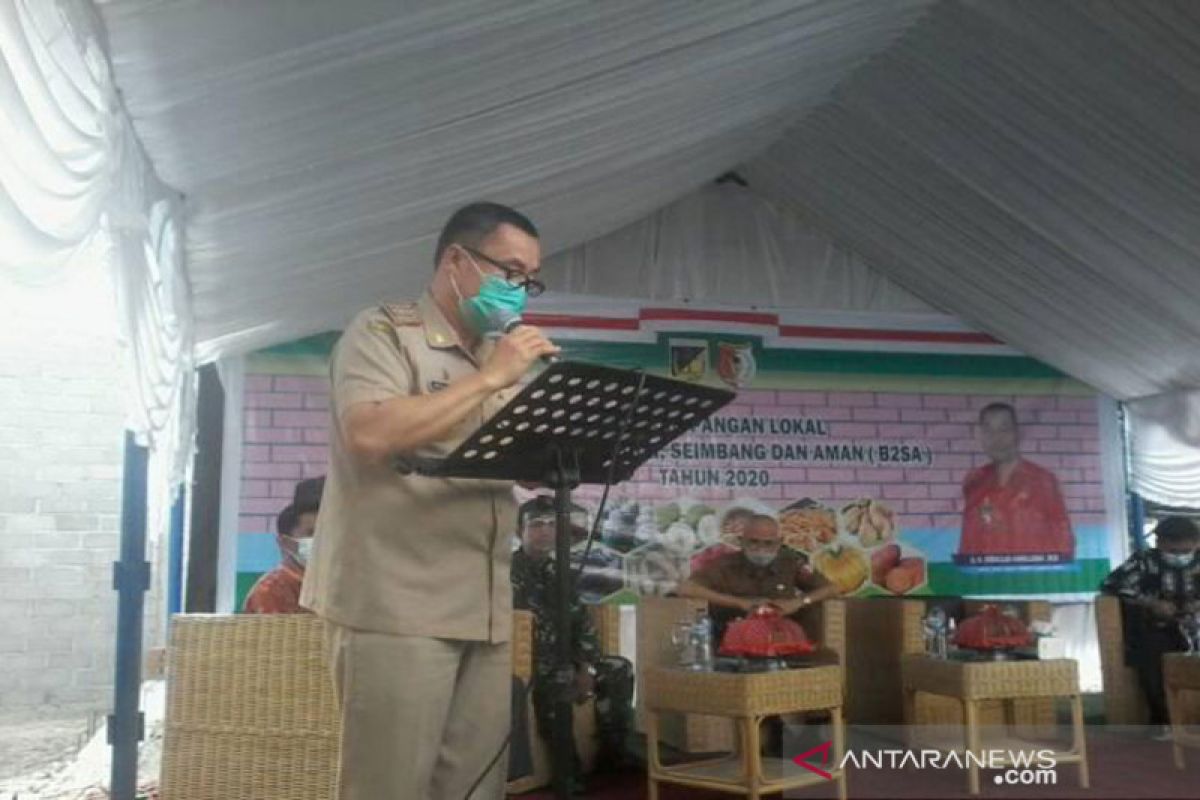 Dinas Ketahanan Pangan Sigi  kampanye program diversifikasi pangan